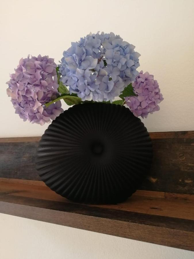 Apartment Atmosphere *